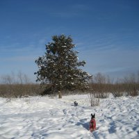 На острове :: Anna Ivanova