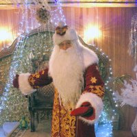 ДЕД МОРОЗ В БЕЛОВЕЖСКОЙ ПУЩЕ :: Юрий Иванов