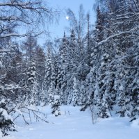 И тишина... :: Галина Ильясова