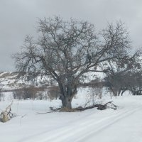 Talgar. :: Murat Bukaev 