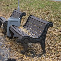 Скамейка :: Александр Буторин