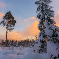 Свет января :: liudmila drake