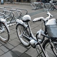 Кому снег привезти? :: Alexandеr P