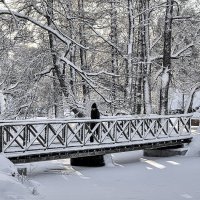 В зимнем очаровании :: Alexandеr P