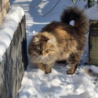 Передумал идти за угол... :: Наталья Передумал идти за угол... :: Наталья