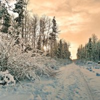 РОЖДЕСТВЕНСКОЕ УТРО. :: Виталий Половинко