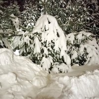 Замело... :: Татьяна Тюменка