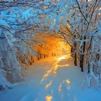 Январский этюд :: Валерий Кокорев