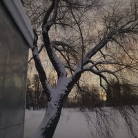 Зима :: Сапсан 