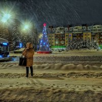 На работу... :: Алексей Архипов