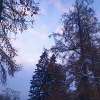 Рассвет :: Сапсан 