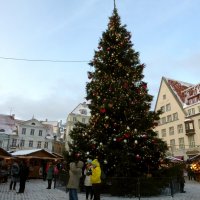 в Таллинне :: Елена Суханова