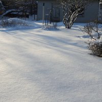 в саду зимой :: ИННА ПОРОХОВА