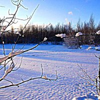 Морозное утро января у лесного озера! :: Владимир 