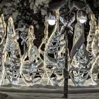 Подсветка :: Игорь Сикорский