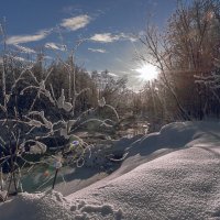 ... :: Жора Житников