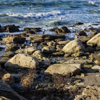 Берег Каспия :: Анатолий Чикчирный