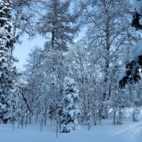 Со Старым Новым Годом! :: Галина Ильясова