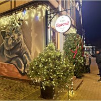 Вечернее кафе. :: Валерия Комова