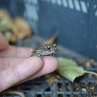 Не боюсь :: Лена -