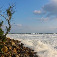 Море. :: Александр. AVG100 ---