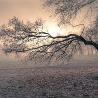 Кривое не может сделаться прямым (Еккл. 1:15) :: Игорь Шевченко Кривое не может сделаться прямым (Еккл. 1:15) :: Игорь Шевченко