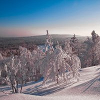 Мороз и солнце :: Vladimbormotov 