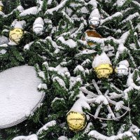 Золотые шары на елке :: Юлия Денискина