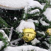 Золотой шарик :: Юлия Денискина