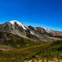 ГОРЫ :: HART BAD