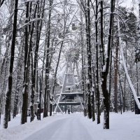 Зима в парке. :: tatiana