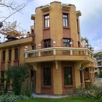 Казначейство Сочи :: Tata Wolf