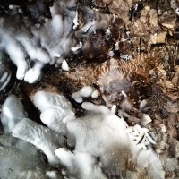 в бане :: Владимир 