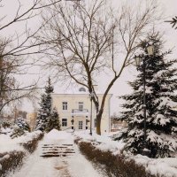 Циклон Фрэнсис-Улли снега подсыпал :: Галина Бобкина