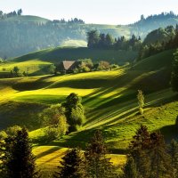 summer :: Elena Wymann