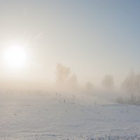 Туманный утром :: Валерий Иванович