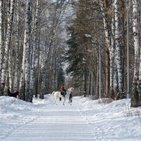 В городском парке :: Галина Нестратова