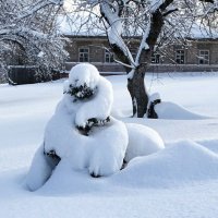 Причуды природы. :: Милешкин Владимир Алексеевич 