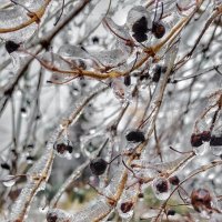 * :: Оксана Н.