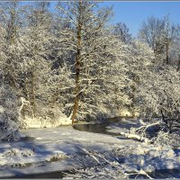 Зимняя сказка :: Aleksandr Gal