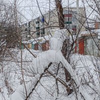 Л :: Юлия Денискина