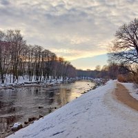 Из зимних прогулок. :: Лия ☼