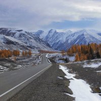 Чуйский тракт к Монголии :: елена беликова