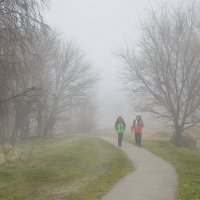 Туман :: Надежда Куркина 