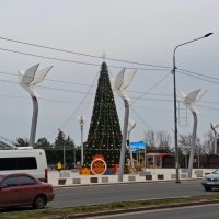 Мариуполь :: Татьяна Пальчикова