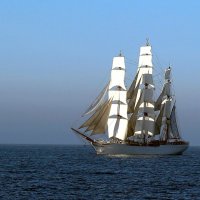 Весь такой белый и красивый. :: В.И Весь такой белый и красивый. :: В.И