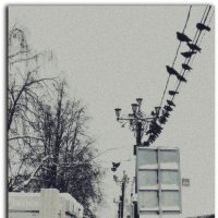 сегодня в Ногинске(Богородск) :: Любовь 