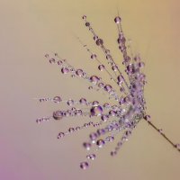 *** :: Виктор Иванович Чернюк