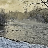 Утро тихой речки :: Valziwa 