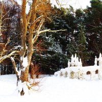 На берегу Таллинского залива :: Aida10 